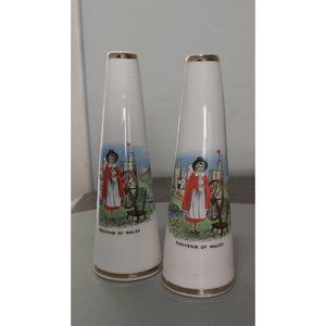 Souvenir of Wales Salt and Pepper Shakers, Vintage Souvenir, Wales Country...